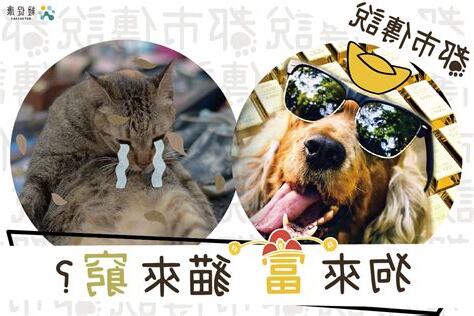 狗來富 貓來